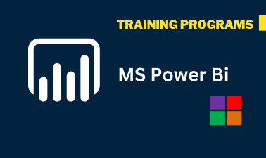 MS Power Bi